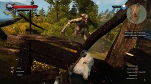 Ведьмак 3 - Как победить Кладбищенскую Бабу