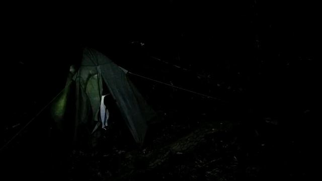 Одиночный поход в лес. Ночь с дикими зверями. смотреть онлайн