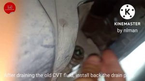 HONDA Mobilio CVT (HCF-2) CHANGE FLUID - DIY