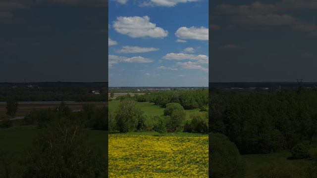 Flying over the field. Полёт над полем #shorts