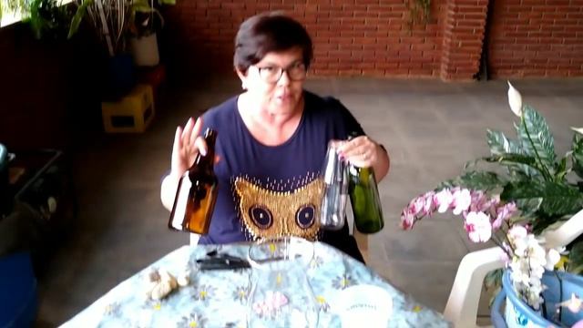 Hastes de PHALAENOPSIS + Como fazer para as FLORES de corte durarem mais DICA CHIK смотреть онлайн