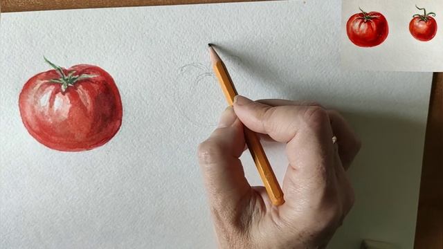 Как нарисовать помидоры акварелью. Мастер-класс // how to draw red tomatoes with watercolor смотреть онлайн