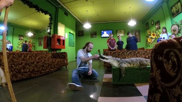 ТРЮК: РУКА В ПАСТИ КРОКОДИЛА (БОЛЕЕ ОПАСНАЯ ВЕРСИЯ) Успею ли я выдернуть руку? смотреть онлайн