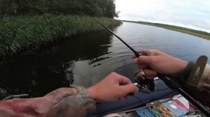 Щука и окунь. Рыбалка на реке Оредеж