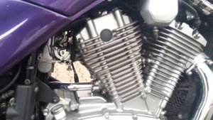 Suzuki VX 800