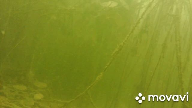 Эндоскоп для рыбалки f=0,5 м. тестирование под водой после изменений. смотреть онлайн