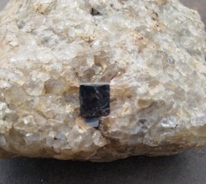 Говорят, что в природе не бывает правильных форм...