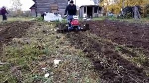 Фреза-культиватор для мотоблока МТЗ , Мотор Сич