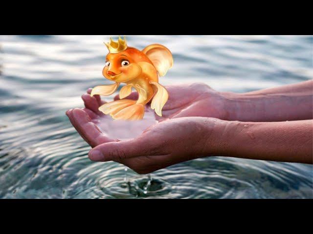 Мечты сбываются)) смотреть онлайн