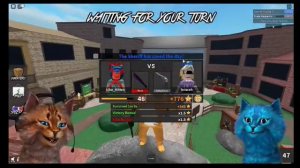 котёнок лайк и игроман играют вместе