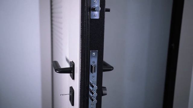 Обзор входной двери Х7 PRO от Torex смотреть онлайн