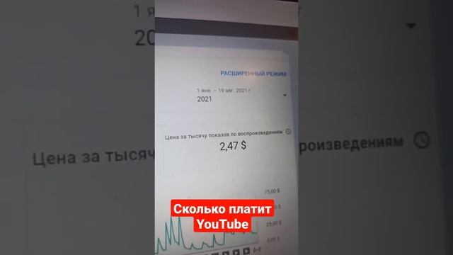 Сколько платит YouTube за 1000 просмотров в 2021 году