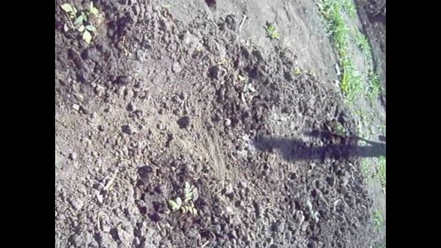 Карантинное увлечение смотреть онлайн