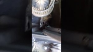 Что делать если не дует печка на АУДИ Б4