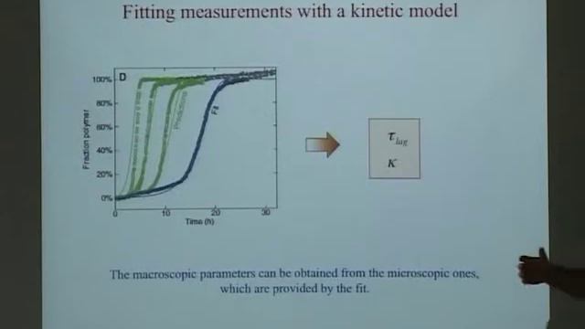 Michele Vendrus - coloProtein function and disfunction II смотреть онлайн