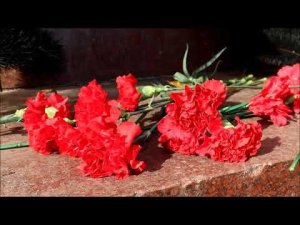 В Кинешме почтили память Маршала Василевского