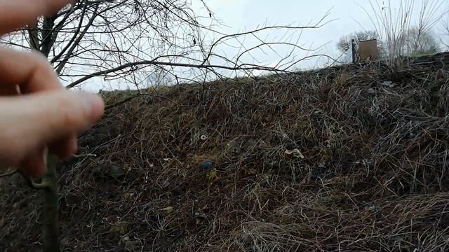 ОБЗОР ЛОГА после его расчистки. РАЗБИВАЮ ПАРК НА УЧАСТКЕ. ЗАКРЫТИЕ СЕЗОНА!