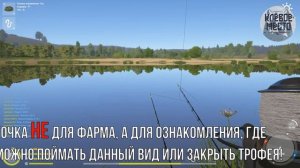 Русская рыбалка 4 - Фарм  | р. Сура Подуст |- рр4 троф подуст сура