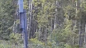 Старые и новые электрические столбы