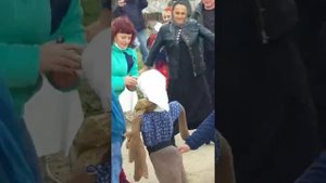 Севастополь,1-ое отделение ЗОЛОТОЙ БАЛКИ БАЛАКЛАВА
