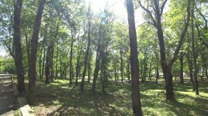 Прогулка по Ставрополю