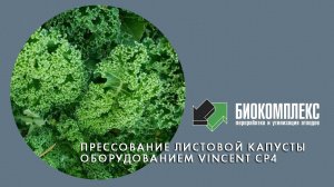 Прессование листовой капусты оборудованием Vincent CP 4