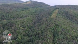 Аэросъемка усадьбы Молоствовых (Долгая Поляна, Тетюшский район)