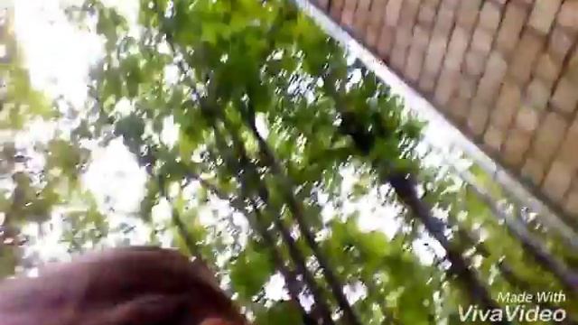 Как я гуляю на продлёнке смотреть онлайн