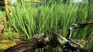 Crisys 3: Атака Сталкеров