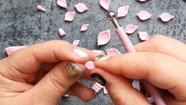 Суккулент из полимерной глины. Как слепить эхеверию/суккулент из полимерной глины своими руками смотреть онлайн