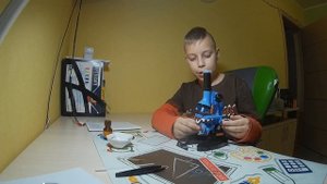 Как сделать микропрепарат из кожицы лука. 2020