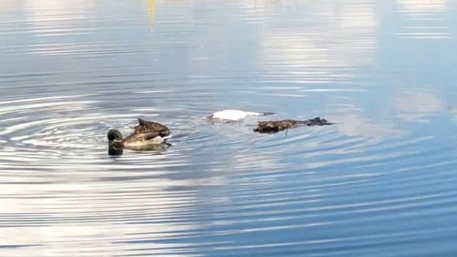 рыбалка на Левом берегу в конце октября 22 1 смотреть онлайн