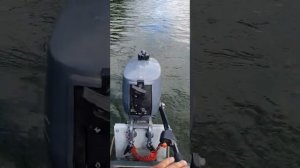 Yamaha 2  cmhs л.с работа в троллинг