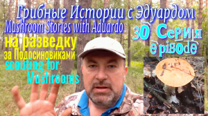 Грибные Истории с Эдуардом. 30 серия. Начало ИЮНЯ - на Разведку за ПОДОСИНОВИКАМИ !