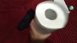 какие игрушки можно давать ежу? и какими  насекомыми можно кормить ежа.