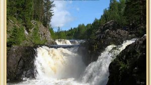 Охрана природы. Окружающий мир 1 класс УМК Перспектива.