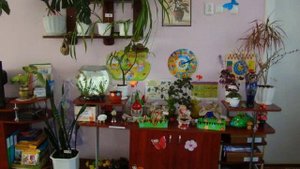 Лучший уголок природы