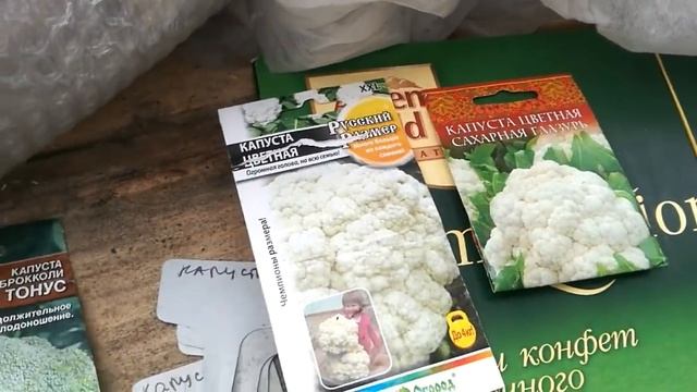 ЗАЛОГ УСПЕШНОЙ РАССАДЫ АСТРЫ И КАПУСТЫ. ГОДЕЦИЯ. ЭШОЛЬЦИЯ. смотреть онлайн