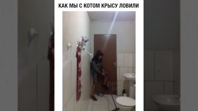 Как мы с котом крысу ловили ???