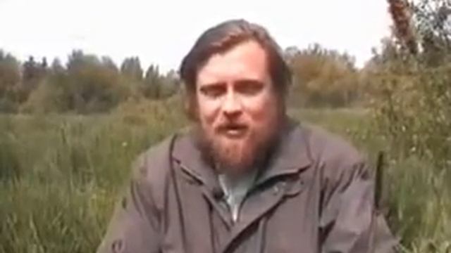 Овес посевной лечебные свойства смотреть онлайн