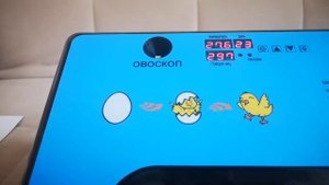 Как вывести цыплят в квартире. Обучение. Советы. Инкубатор HT-12 на 12 яиц с автопереворотом.