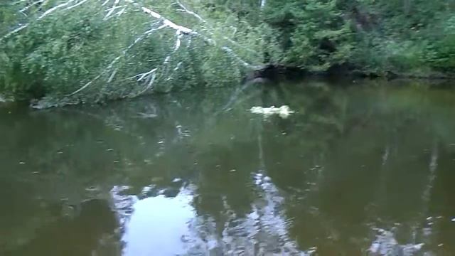 Ивана Купала 2018 - отпускание венков часть 3 смотреть онлайн