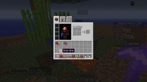 I started with Fortune -1000 in Minecraft Skyblock