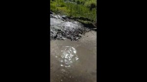 Тойота гайя 4 WD по бездорожью