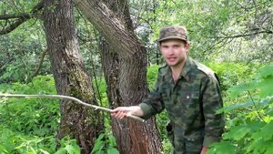Рыба -ловля на палку