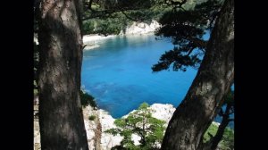 Дальневосточный Морской Заповедник