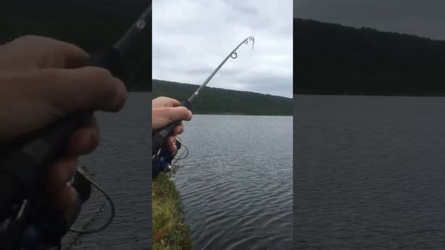 Ловля кумжа на бомбарду