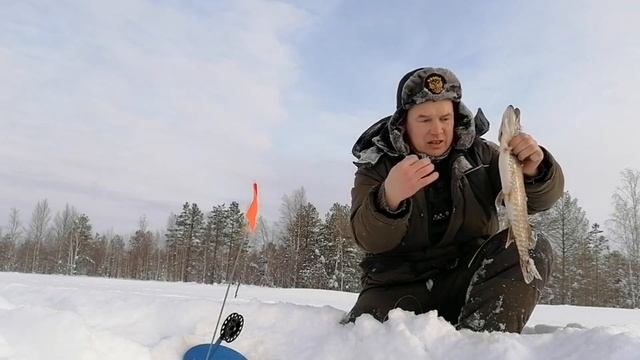 беззубые щуки #озёра КОМИ# глухозимие смотреть онлайн