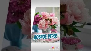 С добрым воскресным утром, Друзья!!!🌏😘🤩🌝🌊🌊🌊🦢🐬💦❄️