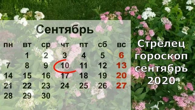Гороскоп Стрелец. Каким будет сентябрь 2020. смотреть онлайн